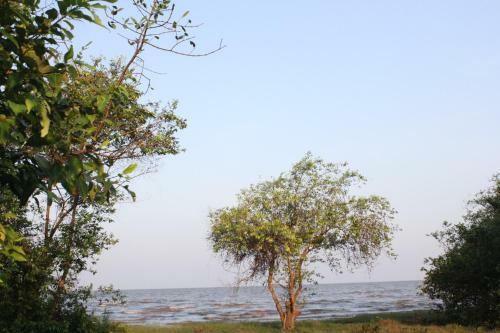 Hotel Rimlay Park Resort