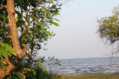 Hotel Rimlay Park Resort