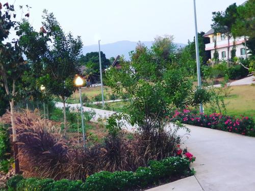 Hotel Green Hill Resort Phurue