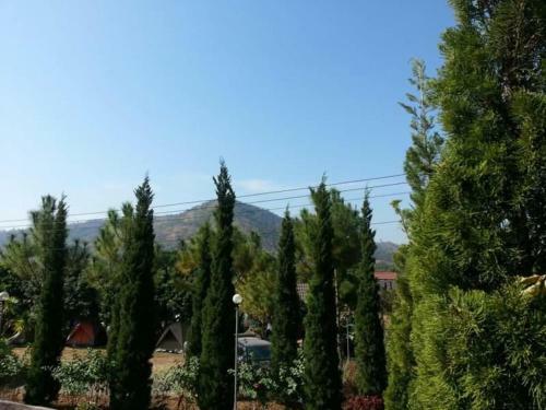 Hotel Green Hill Resort Phurue
