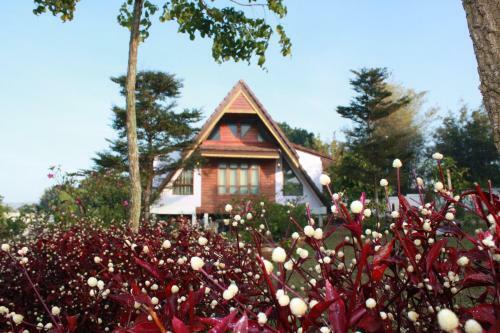 Hotel Green Hill Resort Phurue