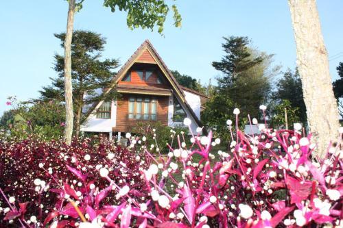 Hotel Green Hill Resort Phurue
