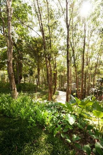 Hotel Rabbiz Hill Resort