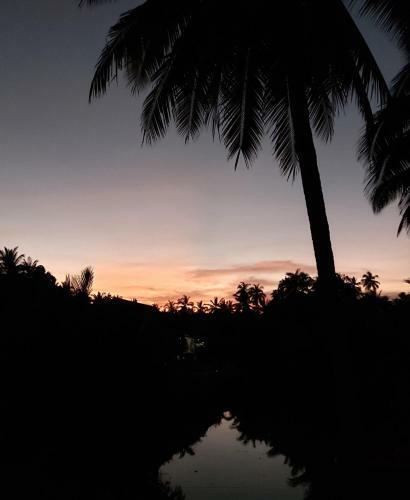 Riverside Palm Resort - Surat Thani