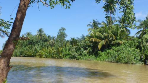 Riverside Palm Resort - Surat Thani