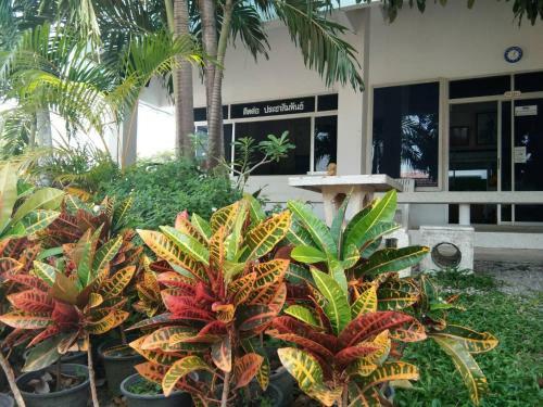 Hotel Bankanphu Resort