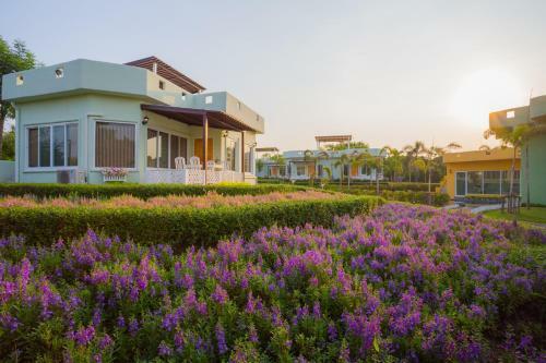 Hotel Villa Reina Resort