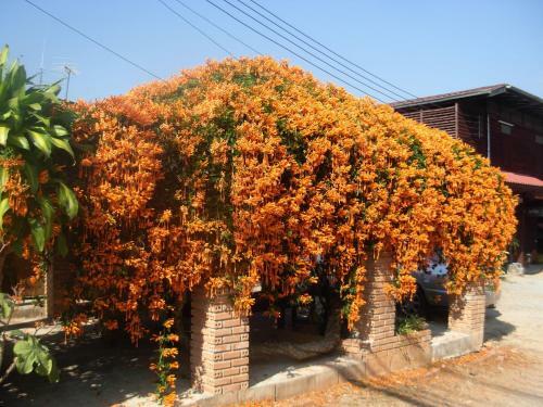 Mitkhoonyoum Hotel