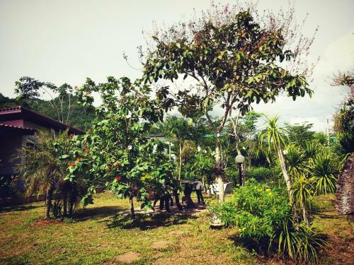 Hotel Baan Khaoneawdum