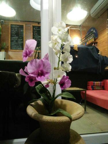 Hostal Green Happy Homestay