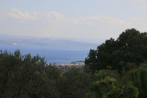 Apartamento Kaz Da?lar? Albatross Da? Evleri