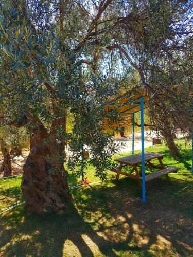 Apartamento Kaz Da?lar? Albatross Da? Evleri