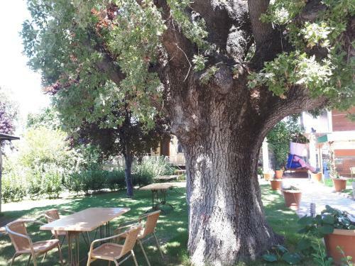 Hotel �ren Konak Otel