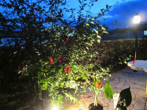 Hostal Pousada As Rel�quias De Minas
