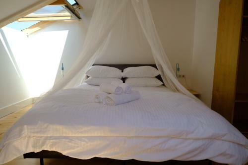 Hotel Nordic Otel