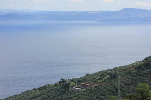 Hostal Assos Kartal Yuvasi Hotel