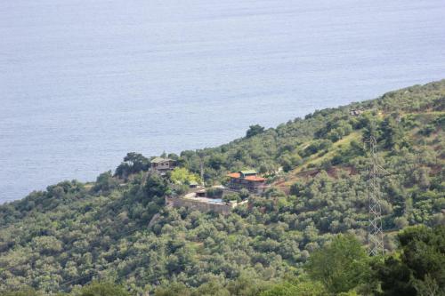 Hostal Assos Kartal Yuvasi Hotel