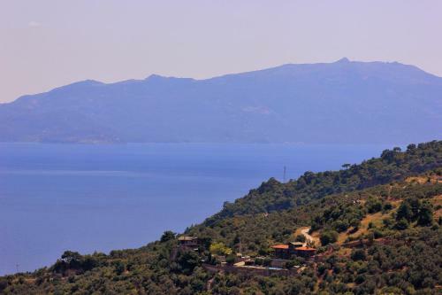Hostal Assos Kartal Yuvasi Hotel
