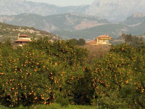 Apartamento Villa Demirtas I