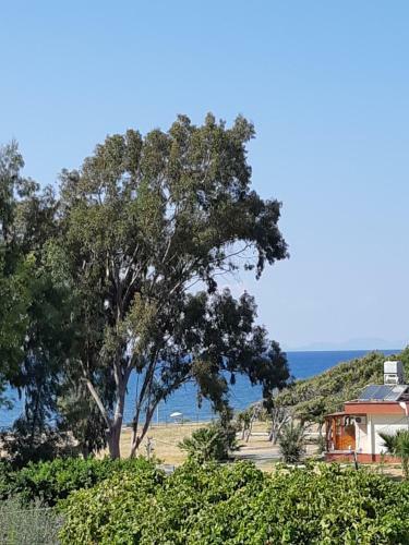 Hotel Duru Otel
