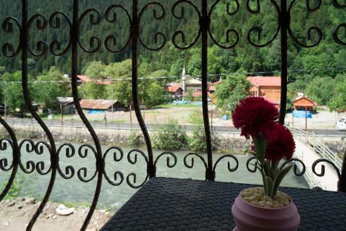 Kuzey Park Hotel