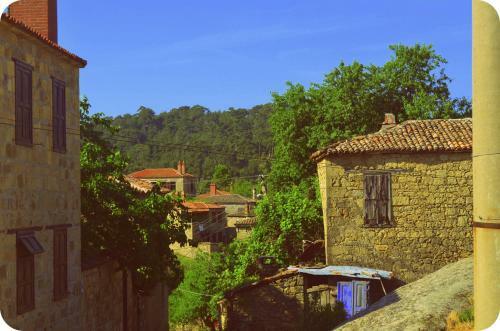 Hostal Zeushan Hotel