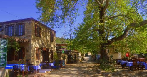Hostal Zeushan Hotel