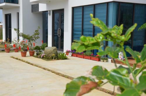 Villa Iris