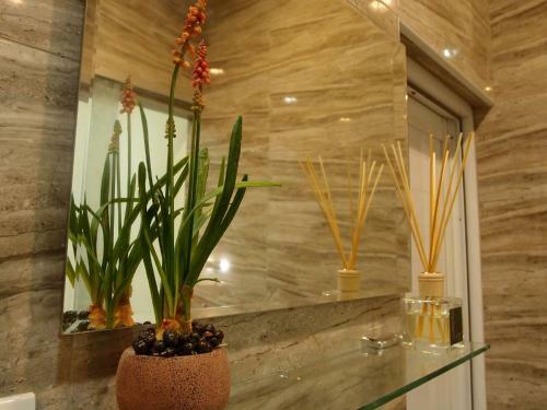 Posada Ji Shih Life Style Hotel