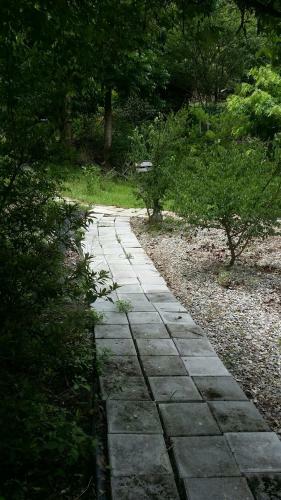 Bright Moon Homestay