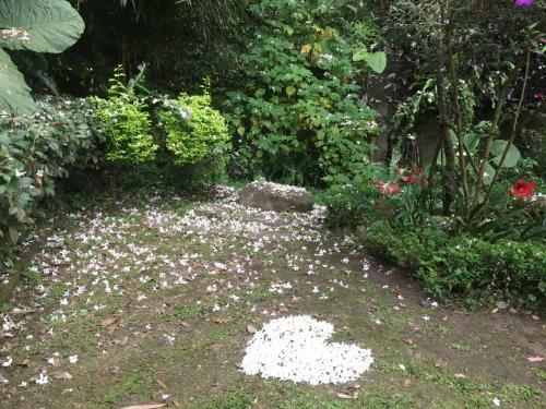 Yu Ho Yuan Lesiure Homestay