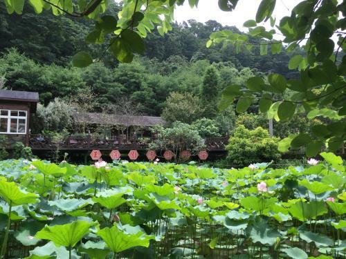 Yu Ho Yuan Lesiure Homestay