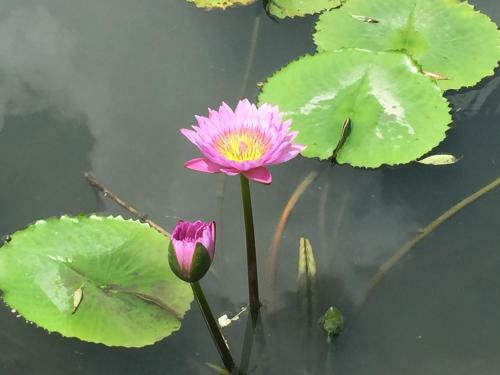 Yu Ho Yuan Lesiure Homestay
