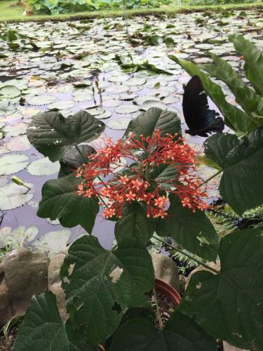 Yu Ho Yuan Lesiure Homestay