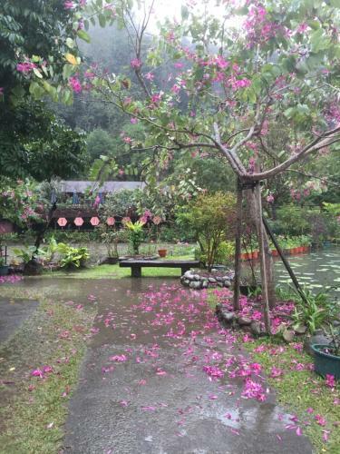 Yu Ho Yuan Lesiure Homestay