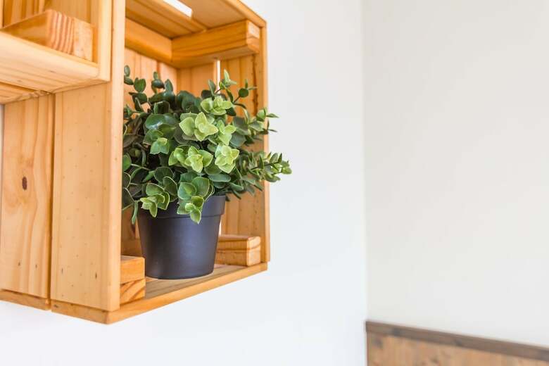 Hotel Cozy Green Guesthouse