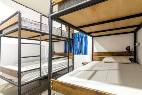 Pisces Youth Hostel