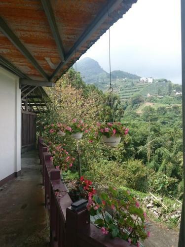Xin Cai Homestay