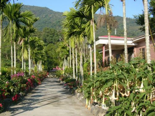 Ja Ja Homestay