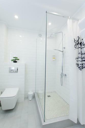 Apart-hotel "lavina"