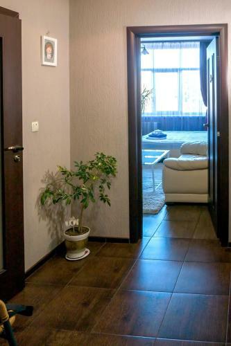 Apartment Alla