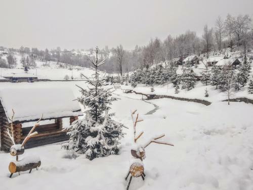 Hotel Turyanskiy Dvir