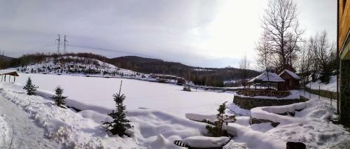 Hotel Turyanskiy Dvir