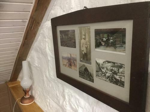 Hostal Salamandra Village