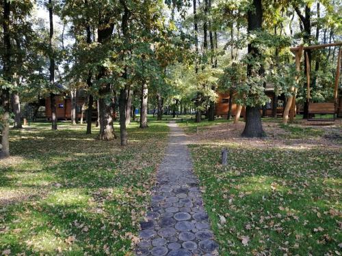 Apartamento Gol&wood