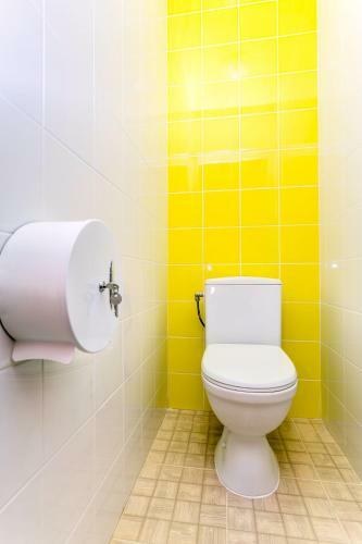 Dream Hostel Carpathians Rakhiv
