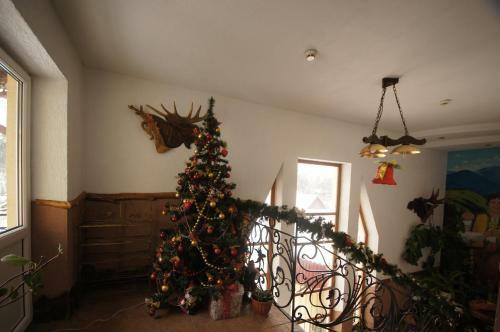 Posada Zirka Karpat