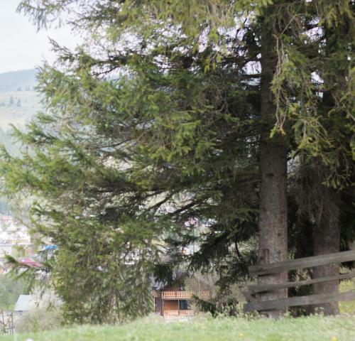 Lodge Karpatska Oselia