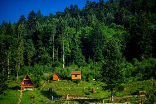 Hotel Osonnya Karpaty