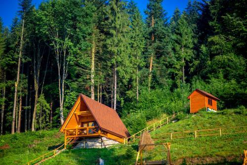 Hotel Osonnya Karpaty